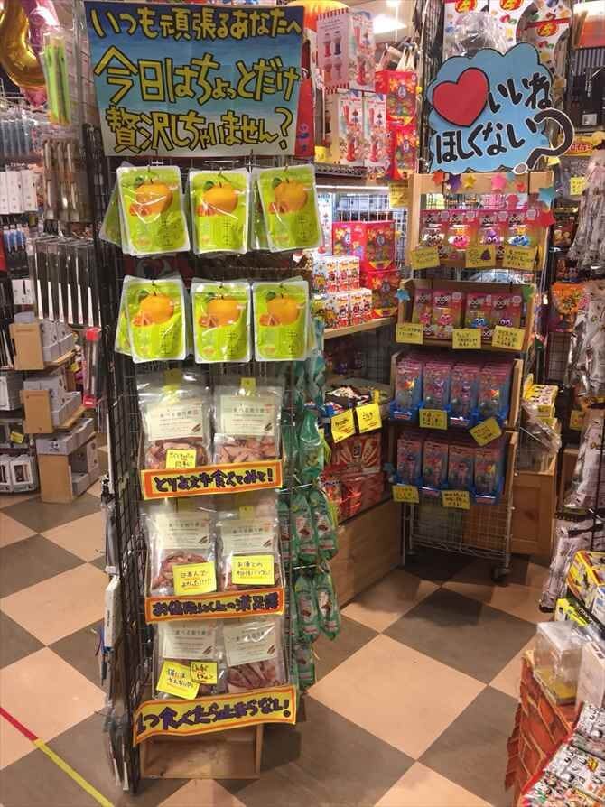 ヴィレッジヴァンガード イオンモール岡崎店（Village Vanguard  AEON MALL Okazaki 빌리지 뱅가드 Village Vanguard ）の店舗外観